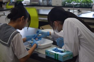 体験入学【１回目】